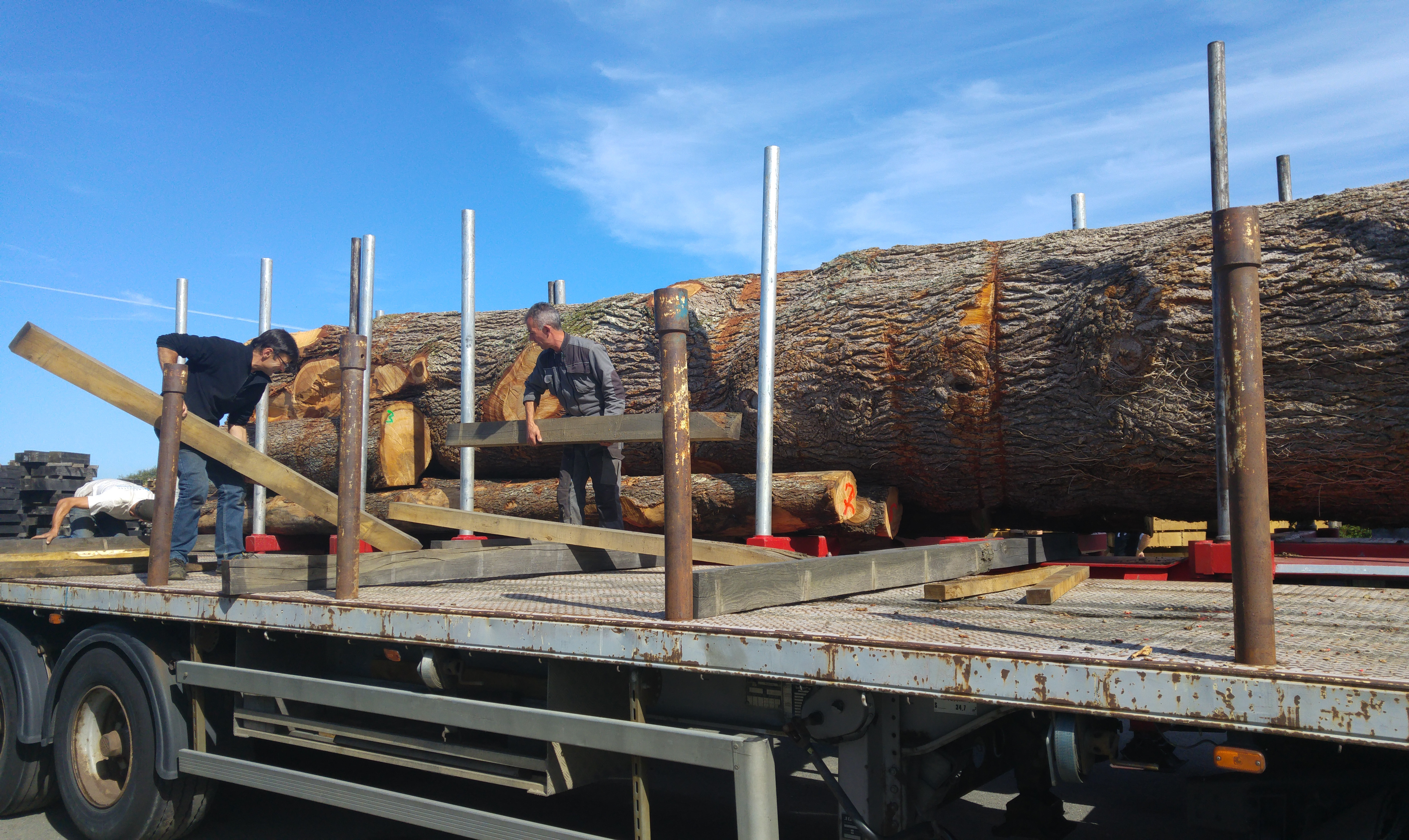 GROUAZEL Scierie bois St Sauveur des Landes (Ille et Vilaine) Un