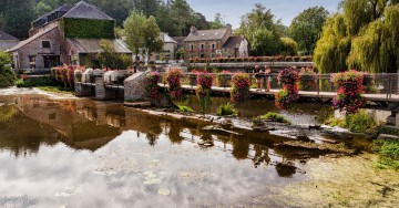 Passerelle en robinier