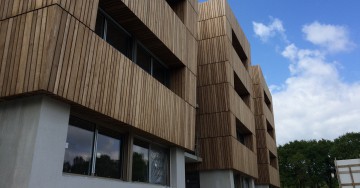 Thermo Poplar cladding