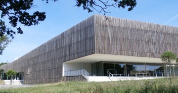 Robinia Cladding (false acacia)