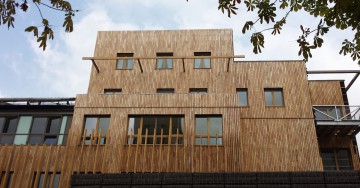 Robinia Cladding (false acacia)