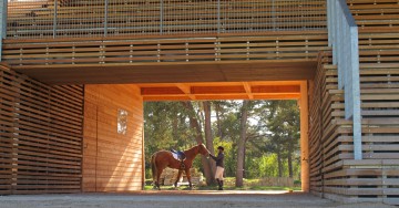 Decking and Planking in Robinia